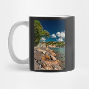 San Michele Di Pagana Mug